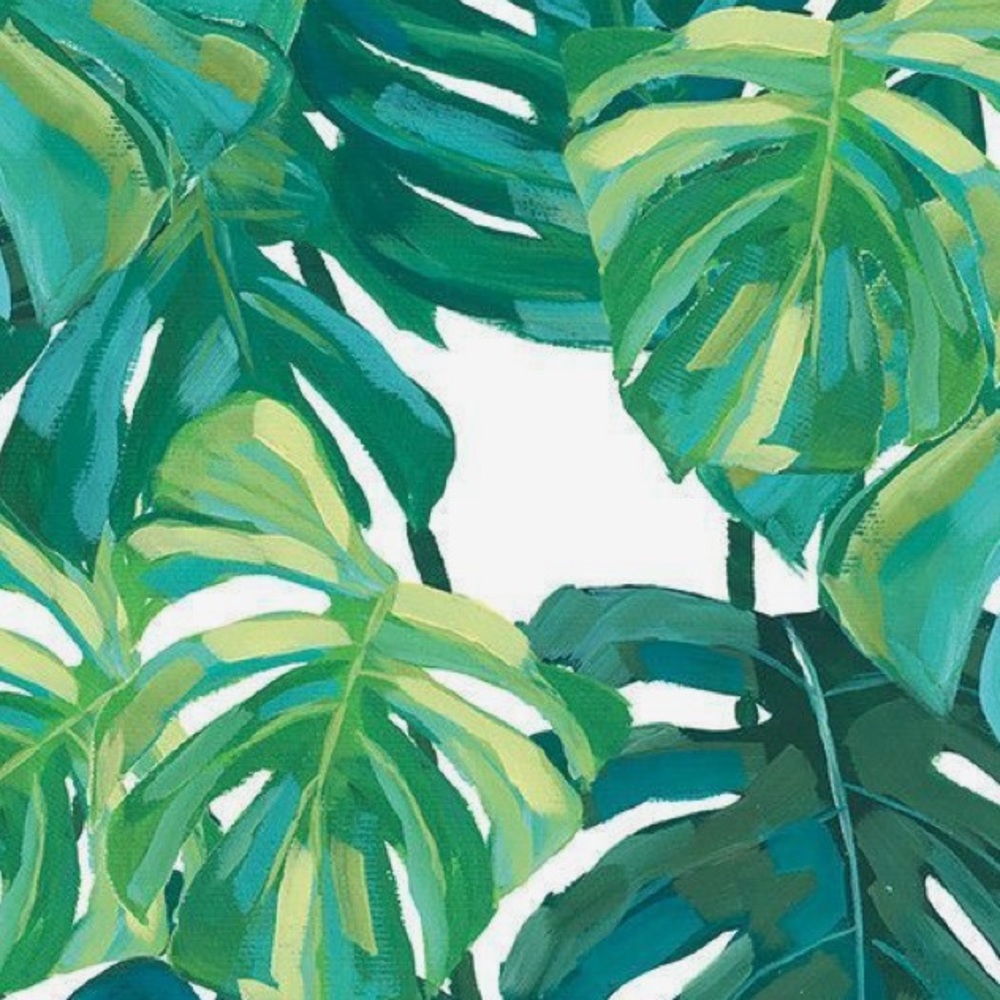 Meet your Posher, Addi